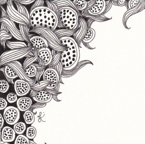 Lotus Pods and Enyshou